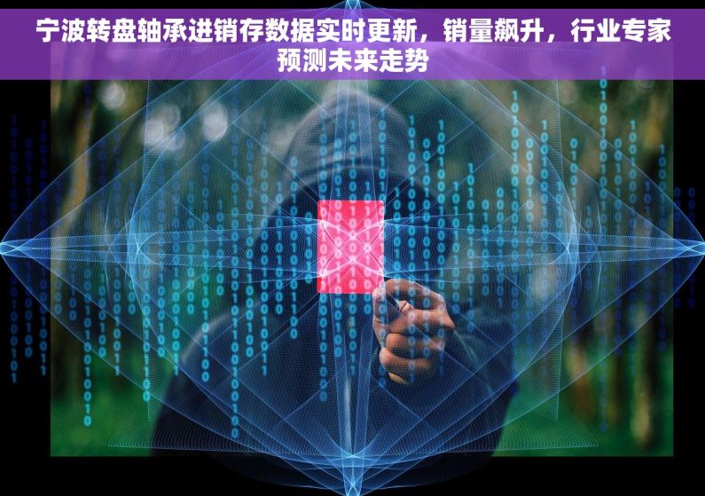 宁波转盘轴承进销存数据实时更新，销量飙升，行业专家预测未来走势