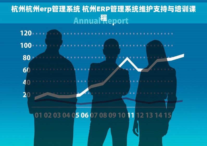 杭州杭州erp管理系统 杭州ERP管理系统维护支持与培训课程