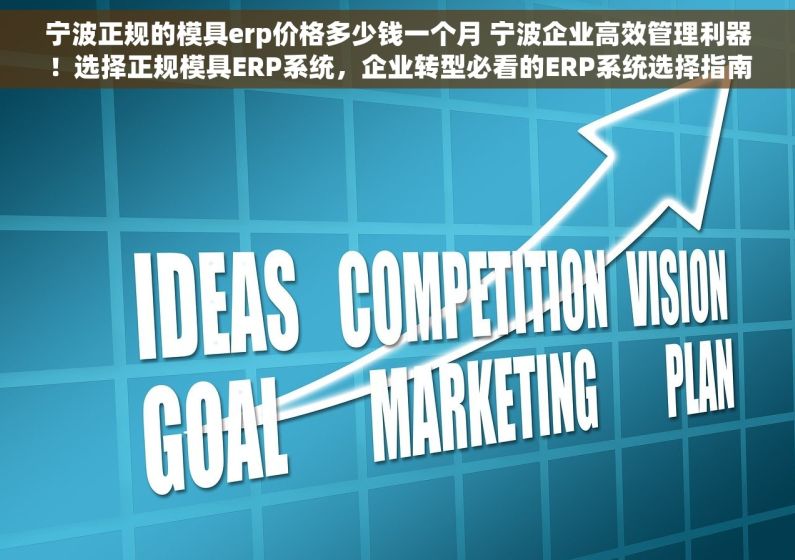 宁波正规的模具erp价格多少钱一个月 宁波企业高效管理利器！选择正规模具ERP系统，企业转型必看的ERP系统选择指南