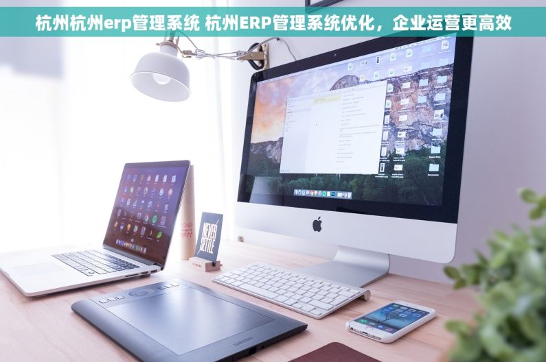 杭州杭州erp管理系统 杭州ERP管理系统优化，企业运营更高效