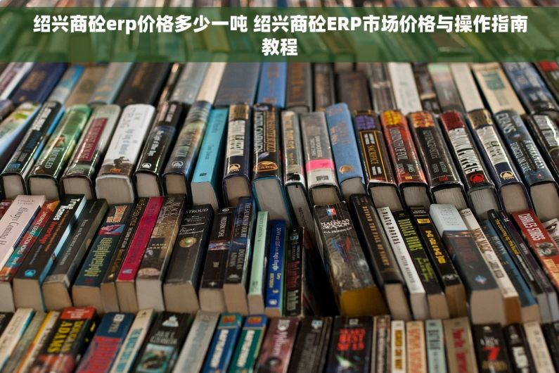 绍兴商砼erp价格多少一吨 绍兴商砼ERP市场价格与操作指南教程