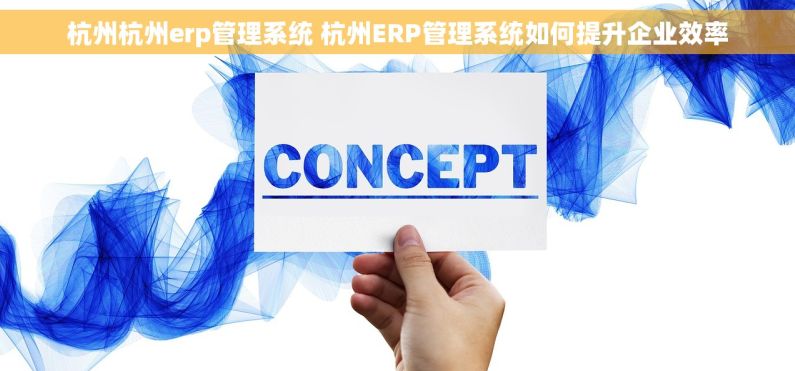 杭州杭州erp管理系统 杭州ERP管理系统如何提升企业效率