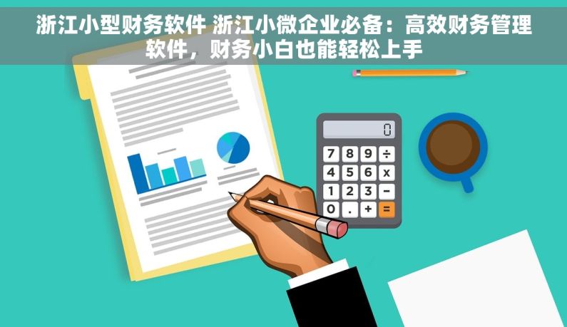 浙江小型财务软件 浙江小微企业必备：高效财务管理软件，财务小白也能轻松上手
