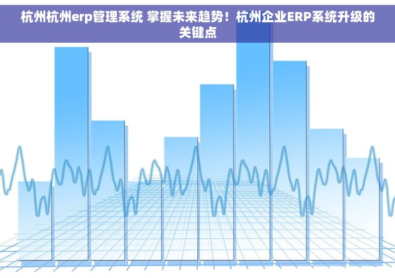 杭州杭州erp管理系统 掌握未来趋势！杭州企业ERP系统升级的关键点