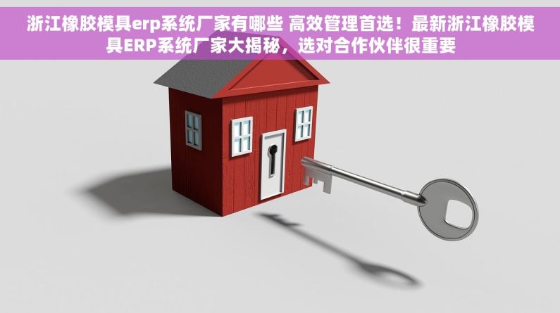 浙江橡胶模具erp系统厂家有哪些 高效管理首选！最新浙江橡胶模具ERP系统厂家大揭秘，选对合作伙伴很重要