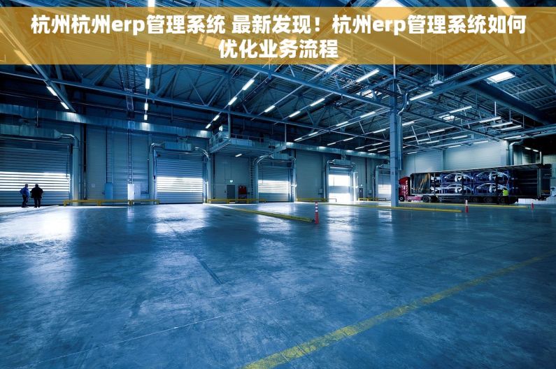 杭州杭州erp管理系统 最新发现！杭州erp管理系统如何优化业务流程