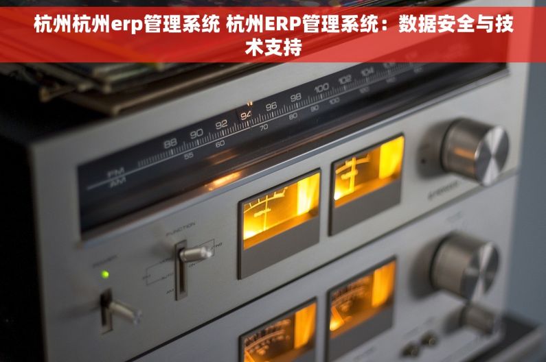 杭州杭州erp管理系统 杭州ERP管理系统：数据安全与技术支持