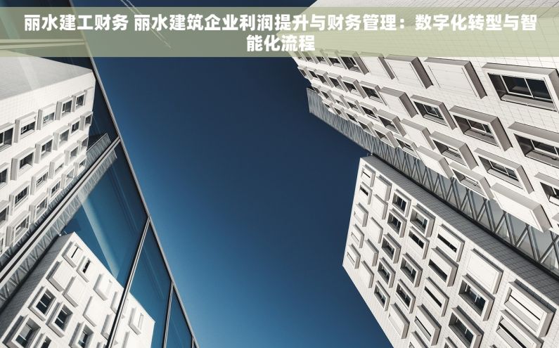 丽水建工财务 丽水建筑企业利润提升与财务管理：数字化转型与智能化流程