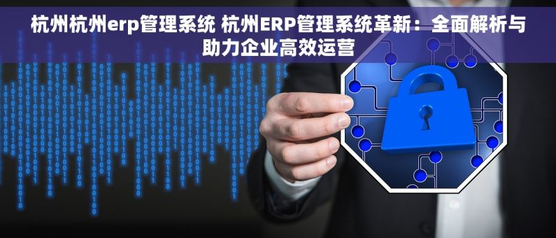 杭州杭州erp管理系统 杭州ERP管理系统革新：全面解析与助力企业高效运营