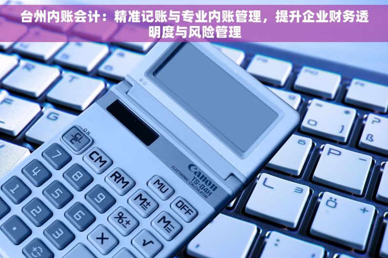 台州内账会计：精准记账与专业内账管理，提升企业财务透明度与风险管理