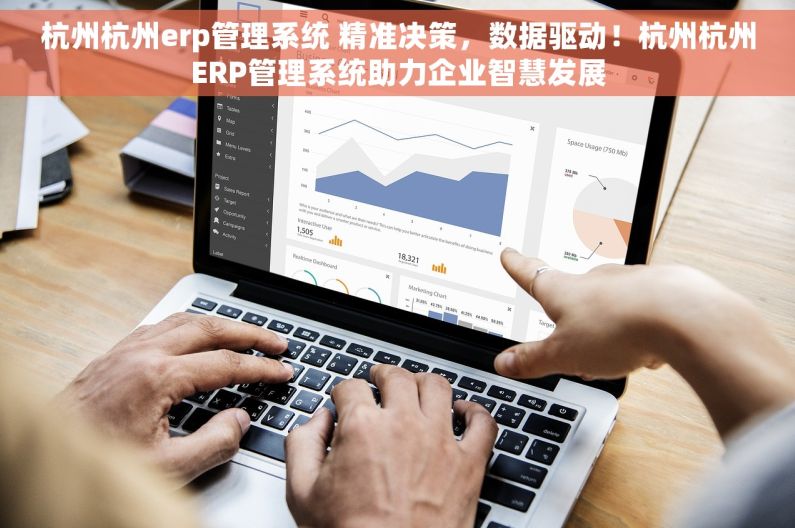 杭州杭州erp管理系统 精准决策，数据驱动！杭州杭州ERP管理系统助力企业智慧发展