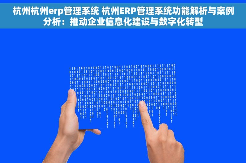 杭州杭州erp管理系统 杭州ERP管理系统功能解析与案例分析：推动企业信息化建设与数字化转型