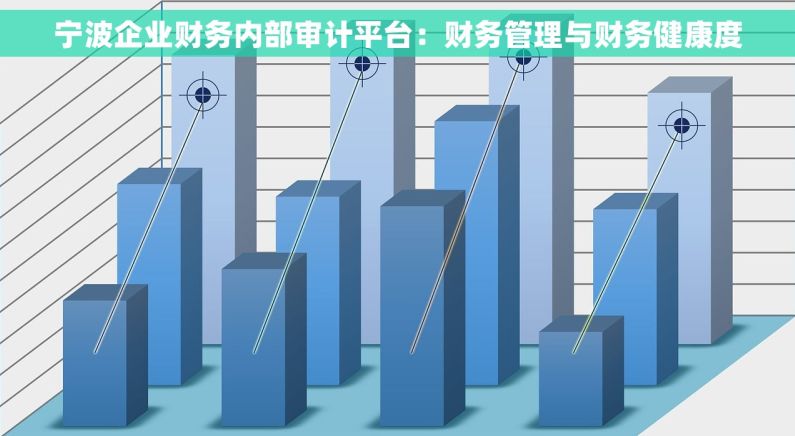 宁波企业财务内部审计平台：财务管理与财务健康度
