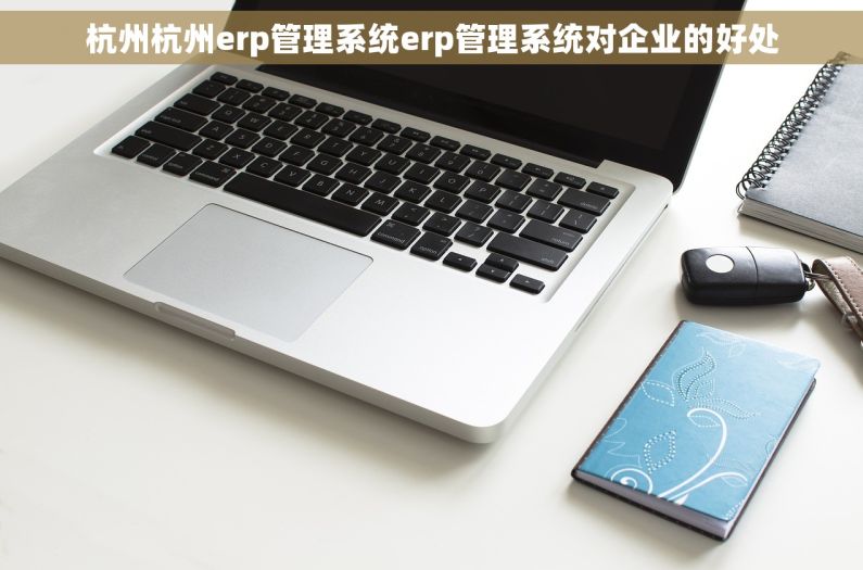 杭州杭州erp管理系统erp管理系统对企业的好处