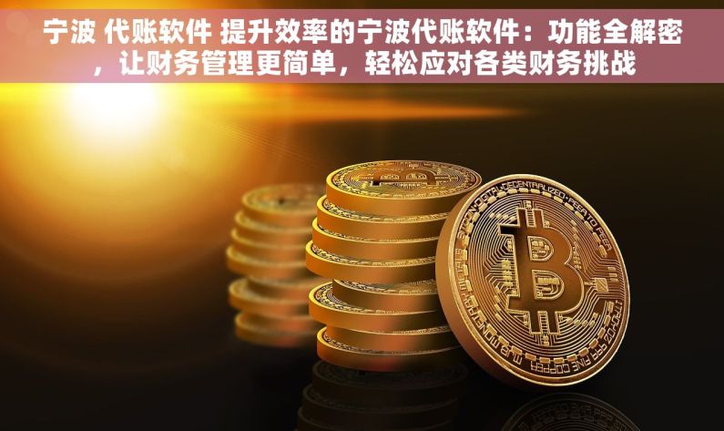 宁波 代账软件 提升效率的宁波代账软件：功能全解密，让财务管理更简单，轻松应对各类财务挑战