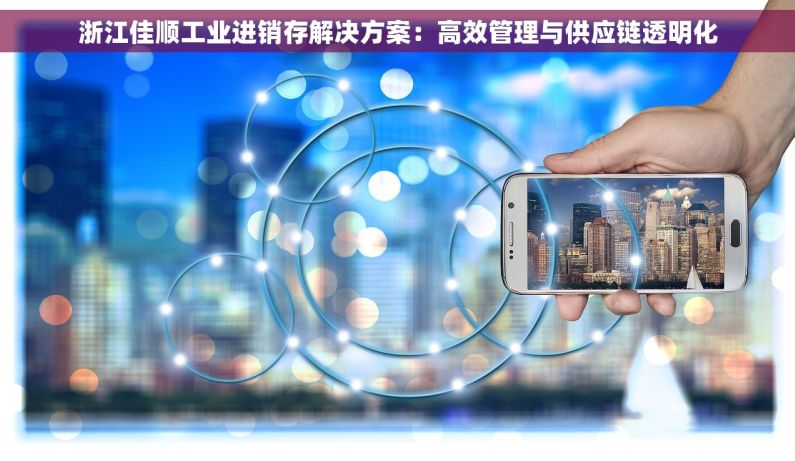 浙江佳顺工业进销存解决方案：高效管理与供应链透明化