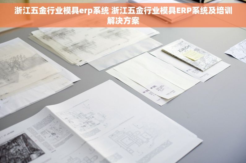 浙江五金行业模具erp系统 浙江五金行业模具ERP系统及培训解决方案