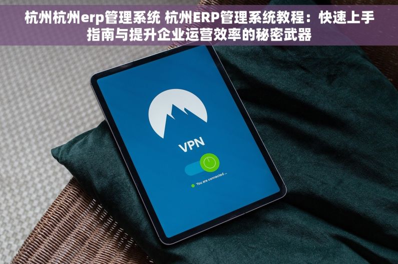 杭州杭州erp管理系统 杭州ERP管理系统教程：快速上手指南与提升企业运营效率的秘密武器