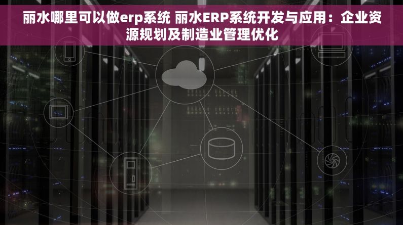 丽水哪里可以做erp系统 丽水ERP系统开发与应用：企业资源规划及制造业管理优化