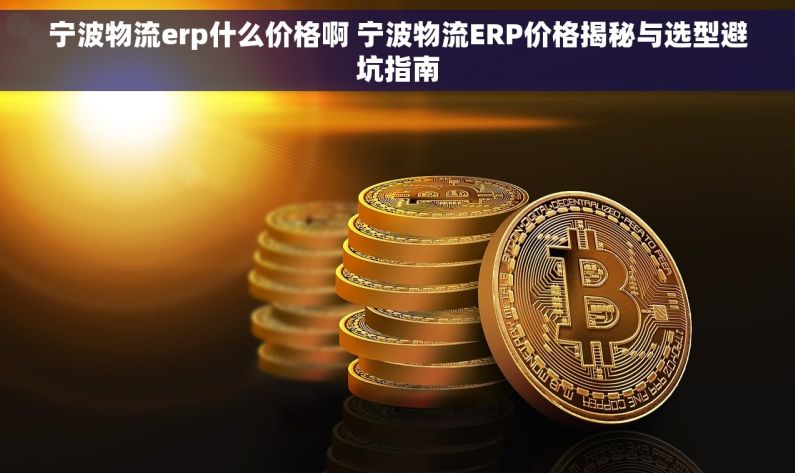 宁波物流erp什么价格啊 宁波物流ERP价格揭秘与选型避坑指南