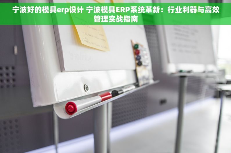 宁波好的模具erp设计 宁波模具ERP系统革新：行业利器与高效管理实战指南