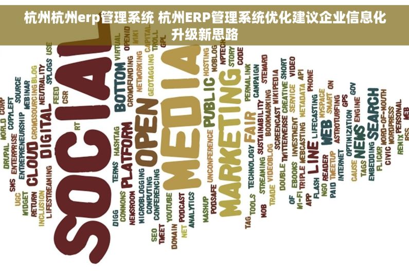 杭州杭州erp管理系统 杭州ERP管理系统优化建议企业信息化升级新思路