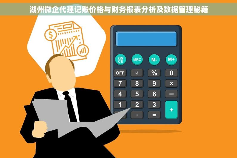 湖州微企代理记账价格与财务报表分析及数据管理秘籍