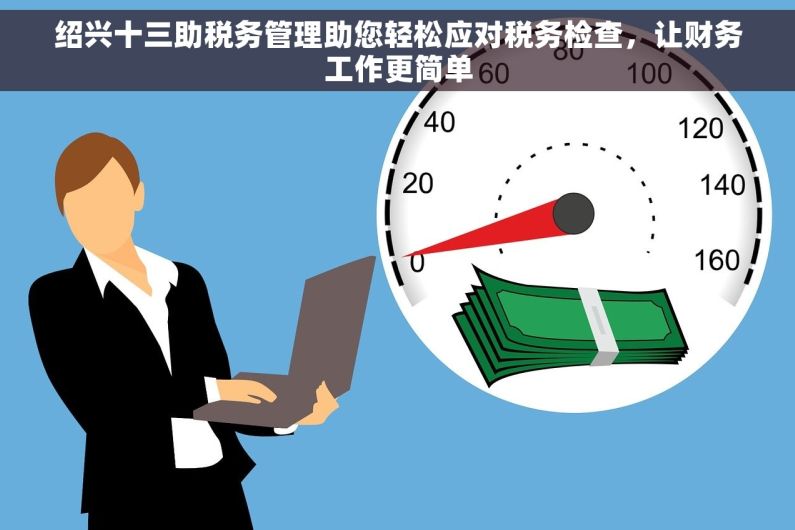 绍兴十三助税务管理助您轻松应对税务检查，让财务工作更简单