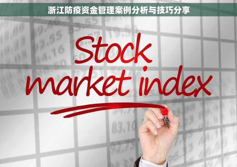 浙江防疫资金管理案例分析与技巧分享
