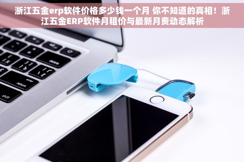 浙江五金erp软件价格多少钱一个月 你不知道的真相！浙江五金ERP软件月租价与最新月费动态解析