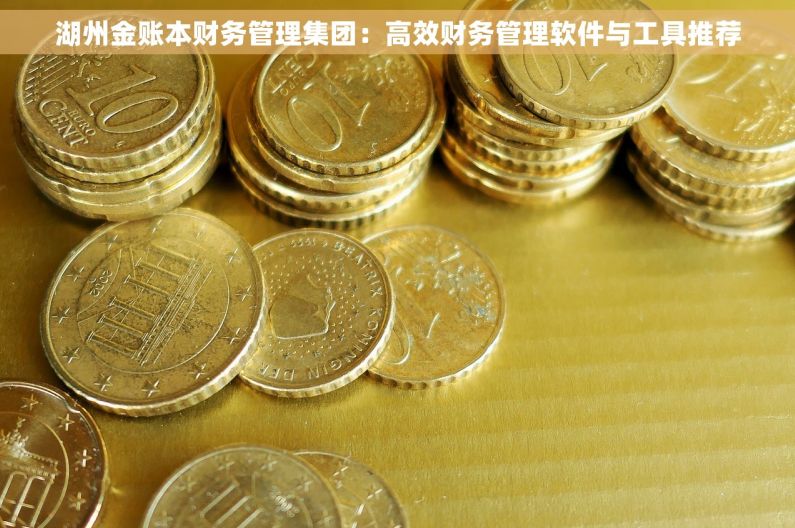 湖州金账本财务管理集团：高效财务管理软件与工具推荐