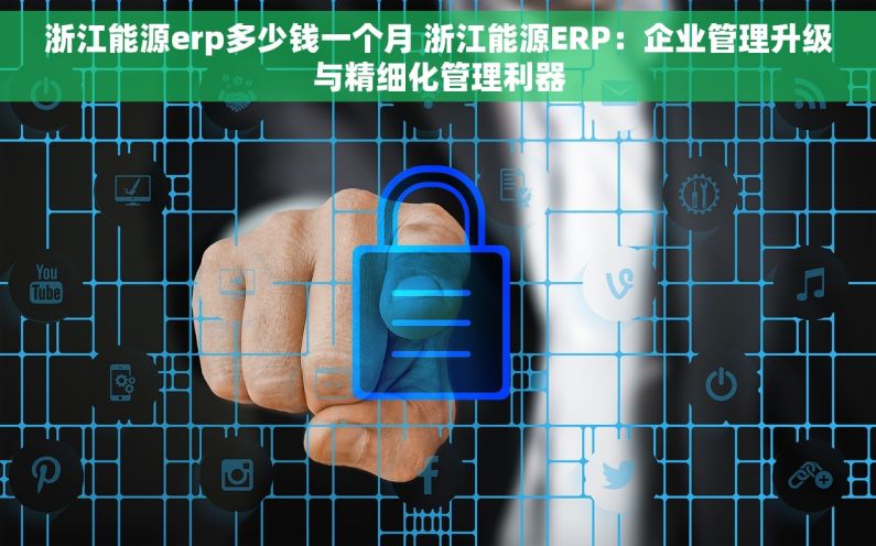 浙江能源erp多少钱一个月 浙江能源ERP：企业管理升级与精细化管理利器