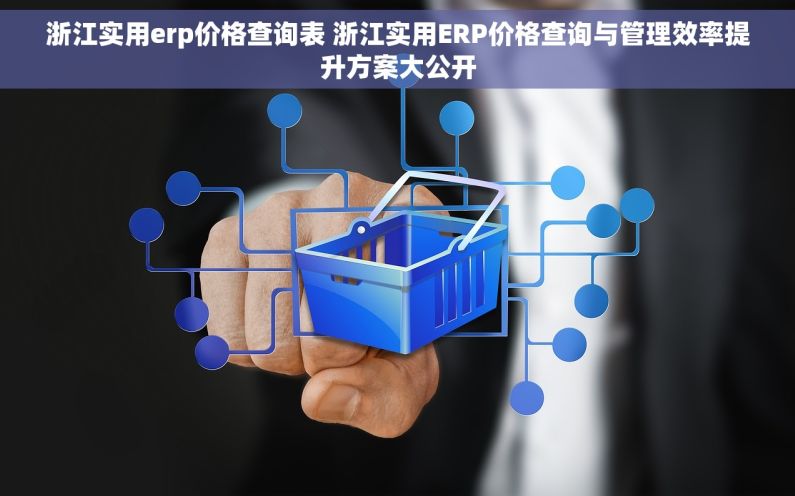 浙江实用erp价格查询表 浙江实用ERP价格查询与管理效率提升方案大公开