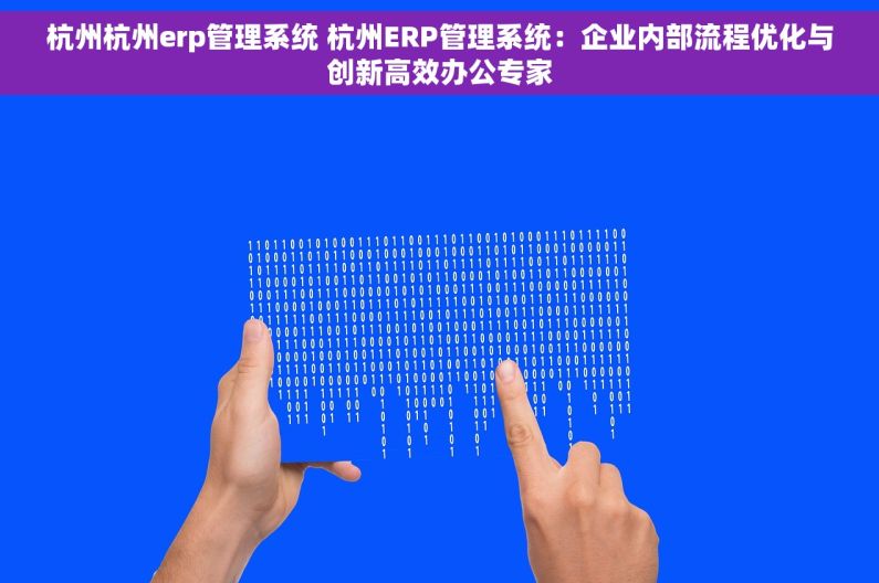 杭州杭州erp管理系统 杭州ERP管理系统：企业内部流程优化与创新高效办公专家