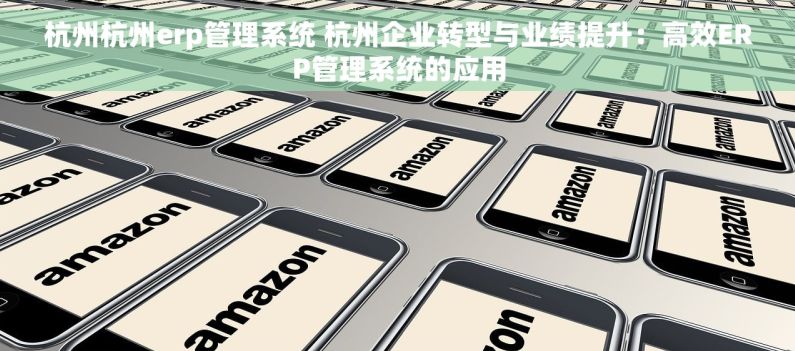 杭州杭州erp管理系统 杭州企业转型与业绩提升：高效ERP管理系统的应用