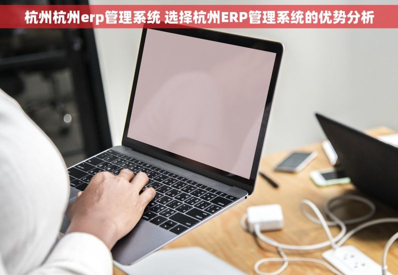杭州杭州erp管理系统 选择杭州ERP管理系统的优势分析
