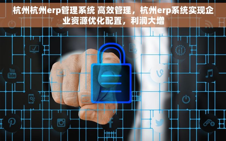 杭州杭州erp管理系统 高效管理，杭州erp系统实现企业资源优化配置，利润大增