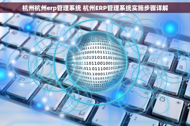 杭州杭州erp管理系统 杭州ERP管理系统实施步骤详解