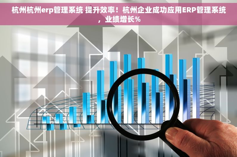 杭州杭州erp管理系统 提升效率！杭州企业成功应用ERP管理系统，业绩增长%