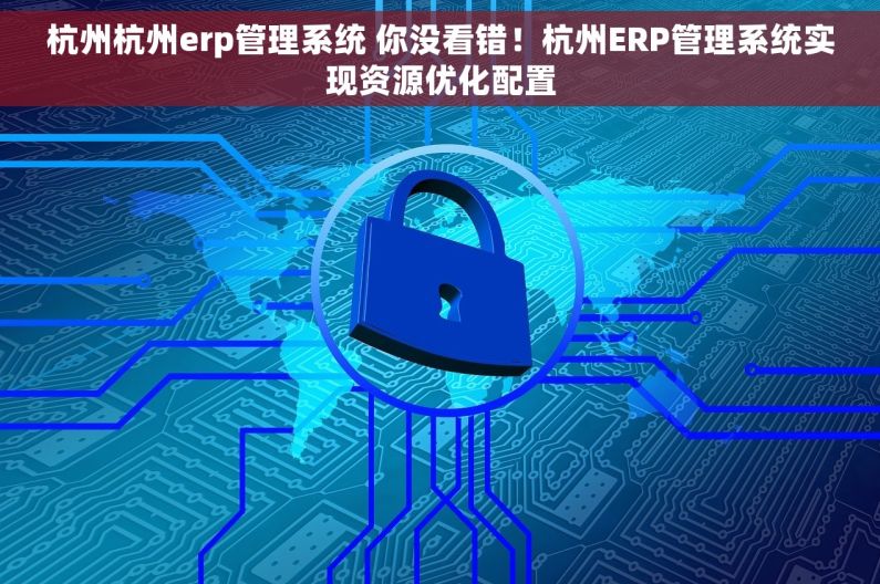 杭州杭州erp管理系统 你没看错！杭州ERP管理系统实现资源优化配置