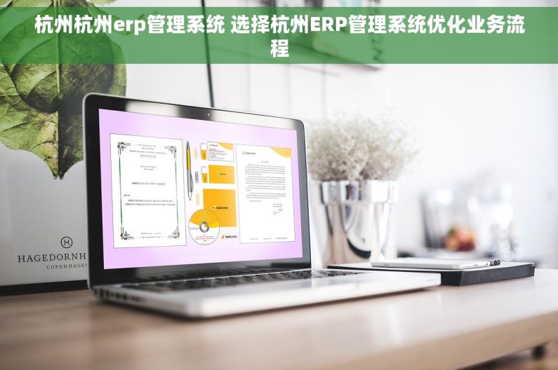 杭州杭州erp管理系统 选择杭州ERP管理系统优化业务流程