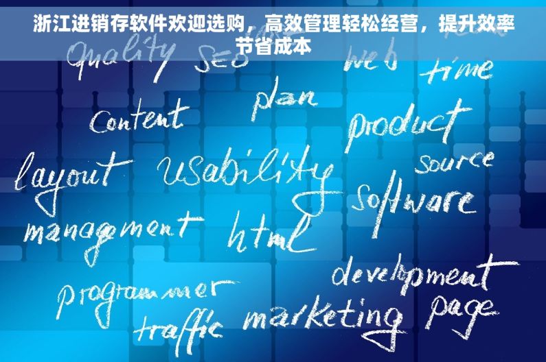 浙江进销存软件欢迎选购，高效管理轻松经营，提升效率节省成本