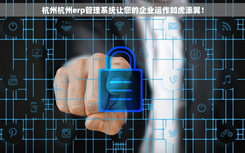 杭州杭州erp管理系统让您的企业运作如虎添翼！