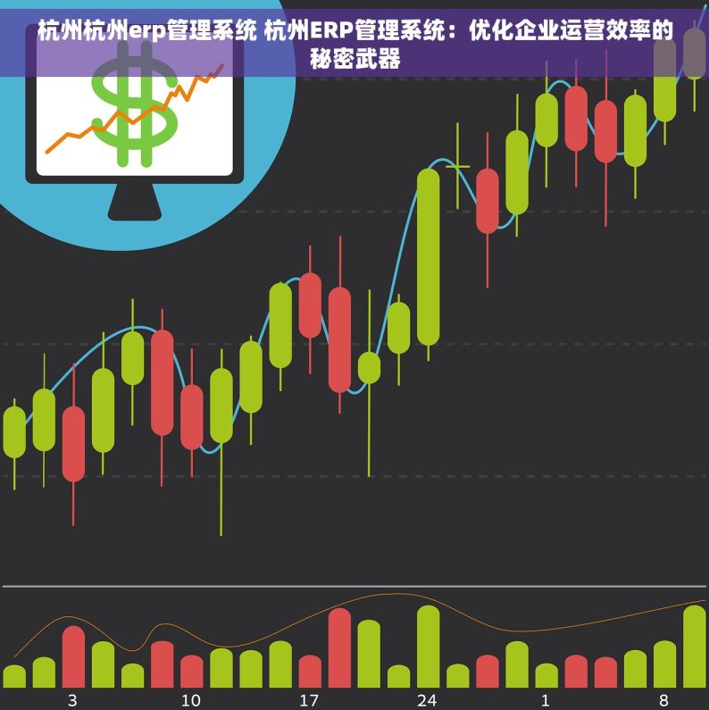 杭州杭州erp管理系统 杭州ERP管理系统：优化企业运营效率的秘密武器
