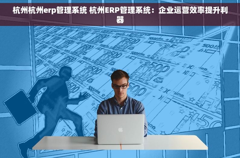 杭州杭州erp管理系统 杭州ERP管理系统：企业运营效率提升利器