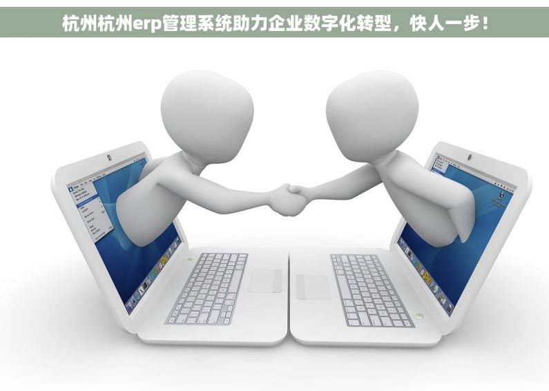 杭州杭州erp管理系统助力企业数字化转型，快人一步！
