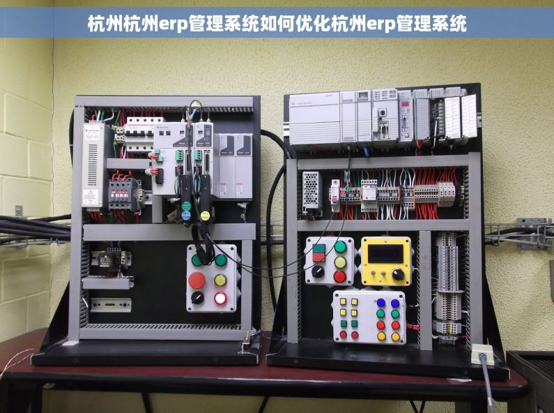 杭州杭州erp管理系统如何优化杭州erp管理系统