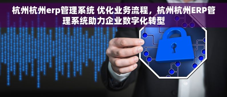 杭州杭州erp管理系统 优化业务流程，杭州杭州ERP管理系统助力企业数字化转型