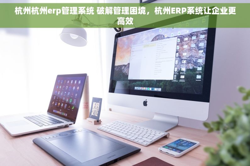杭州杭州erp管理系统 破解管理困境，杭州ERP系统让企业更高效