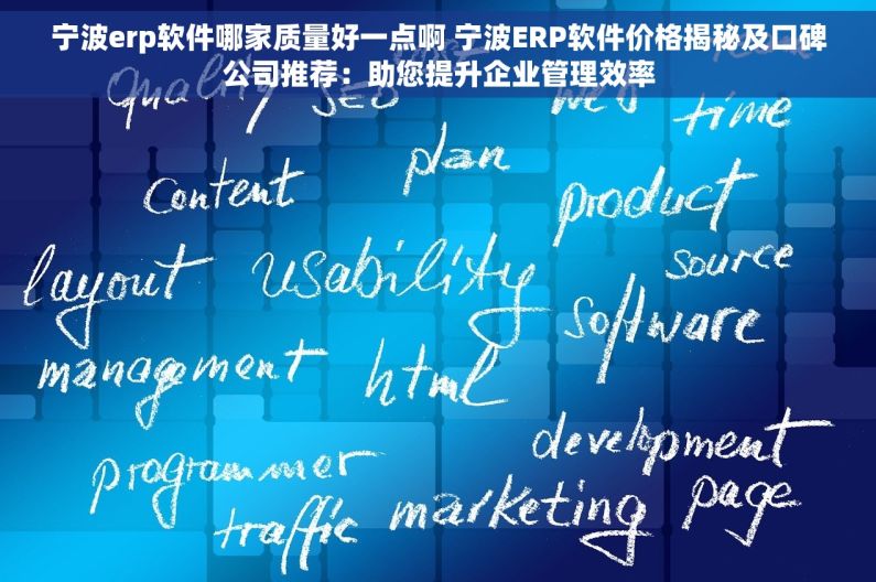 宁波erp软件哪家质量好一点啊 宁波ERP软件价格揭秘及口碑公司推荐：助您提升企业管理效率